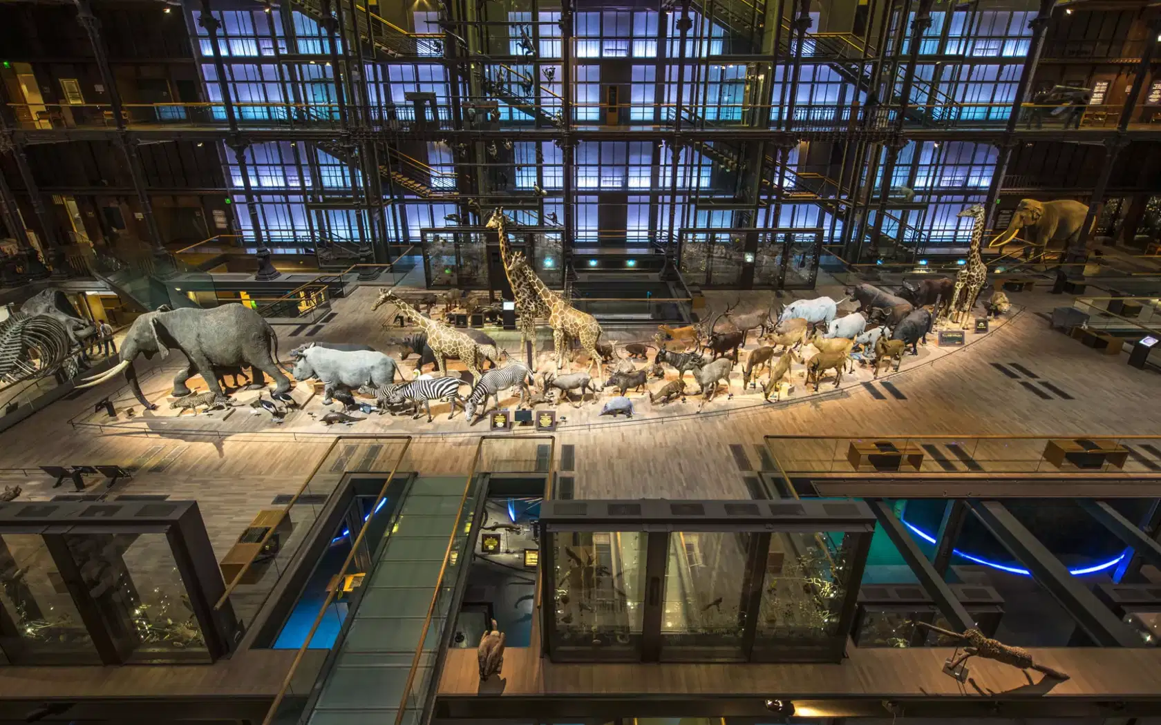 Grande Galerie de l'Evolution - Photo 1
