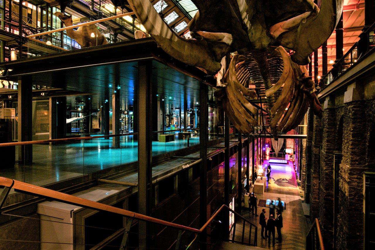 Grande Galerie de l'Evolution - Photo 3