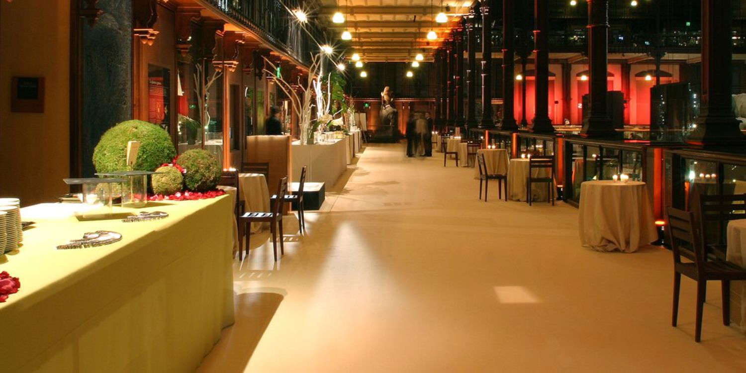 Grande Galerie de l'Evolution - Photo 4