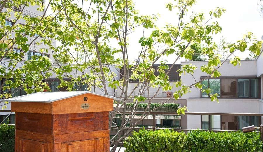 Hôtel Mandarin Oriental ***** - Photo 3
