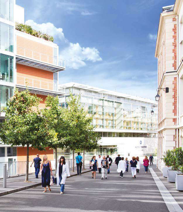 Institut Pasteur - Photo 5