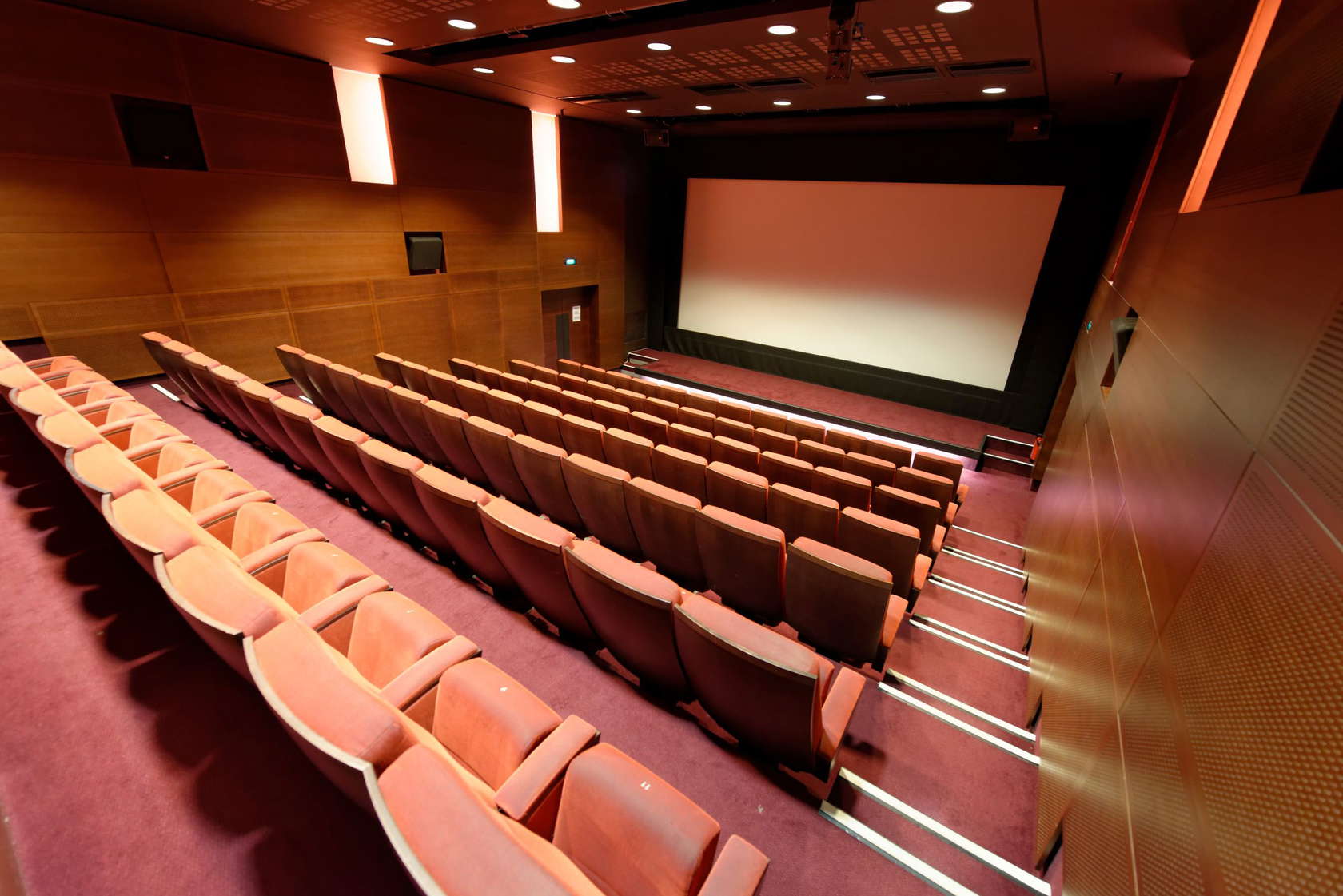 La Cinémathèque française - Photo 3