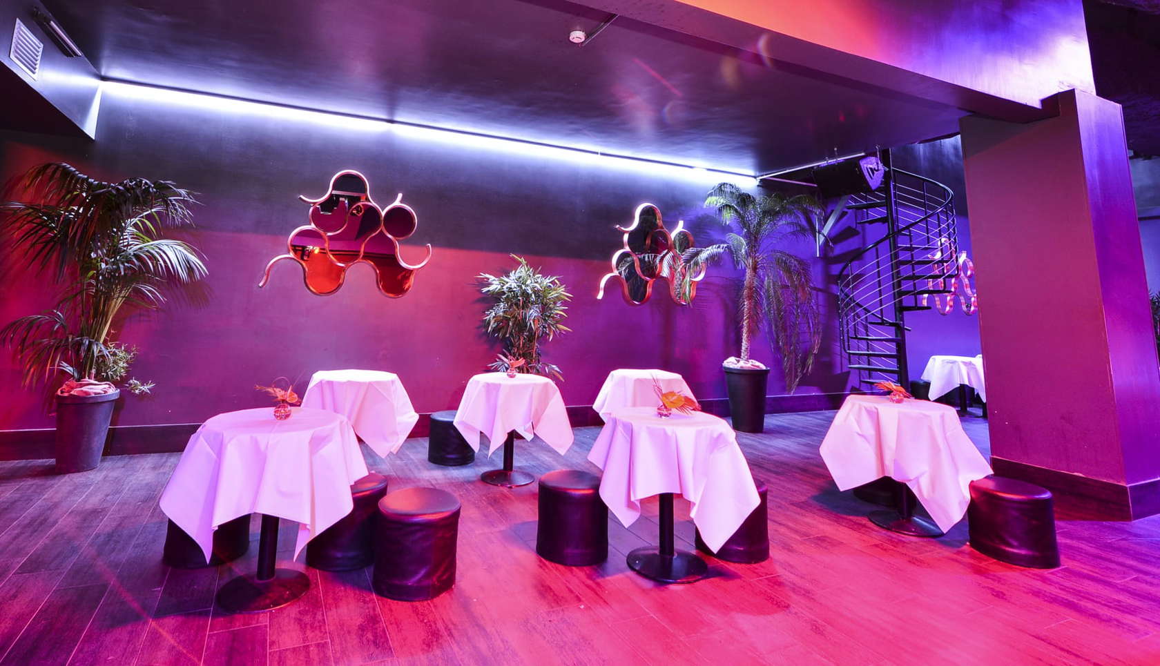 Le Brasil Tropical - Photo 2