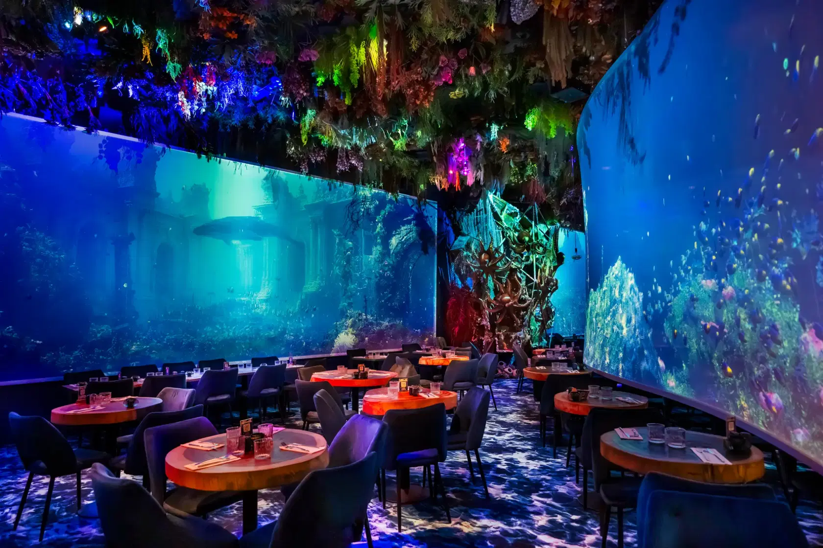 Under the Sea