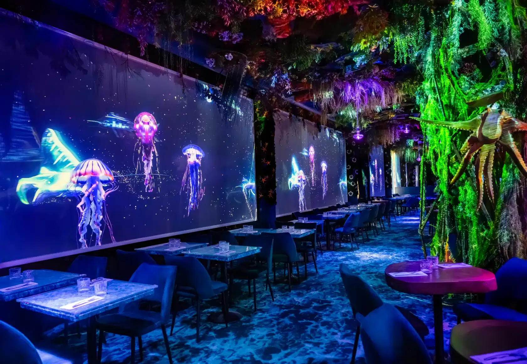Under the Sea - Photo 4