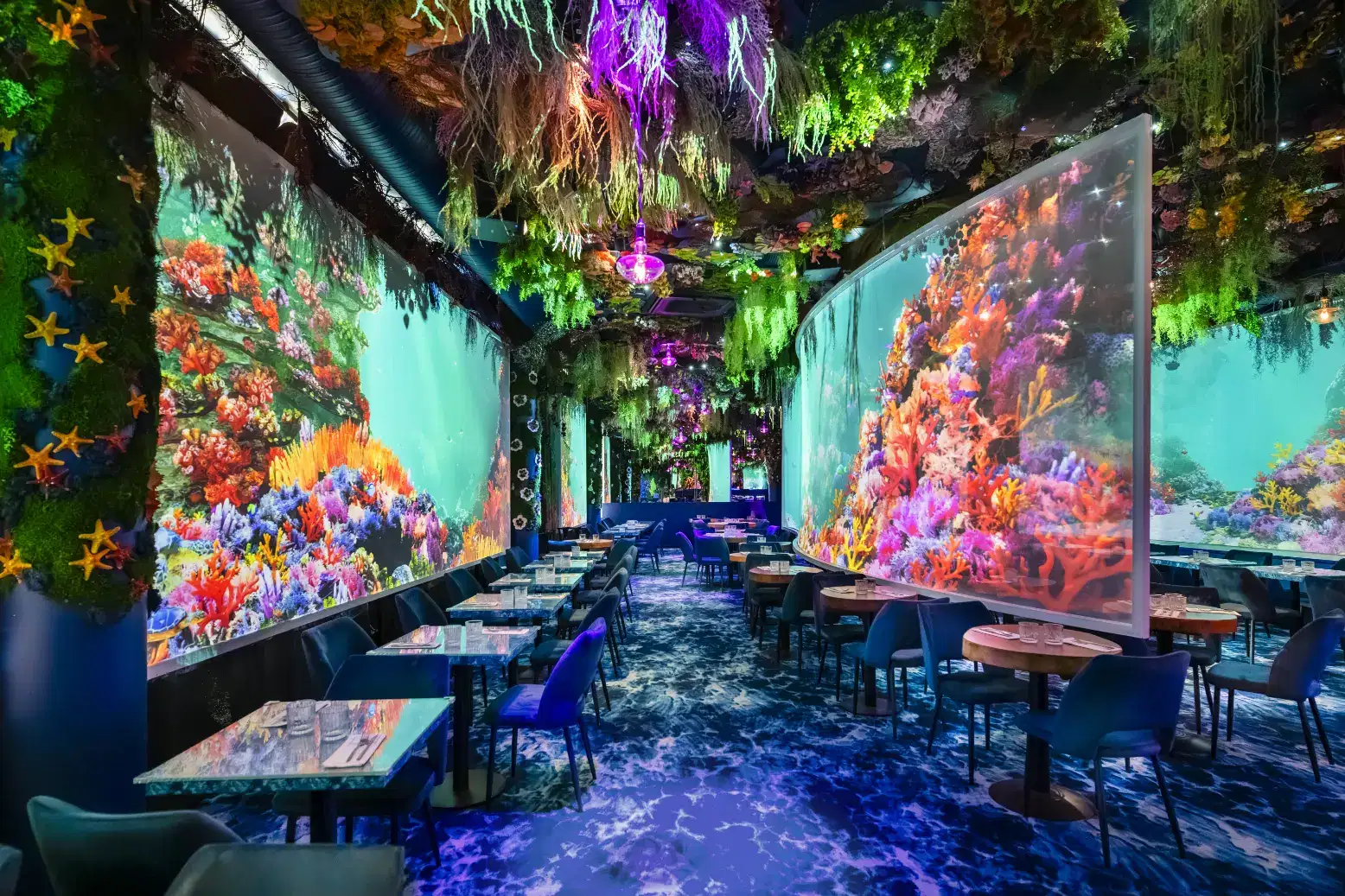 Under the Sea - Photo 5