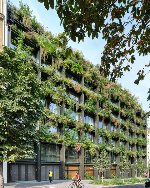 Villa M